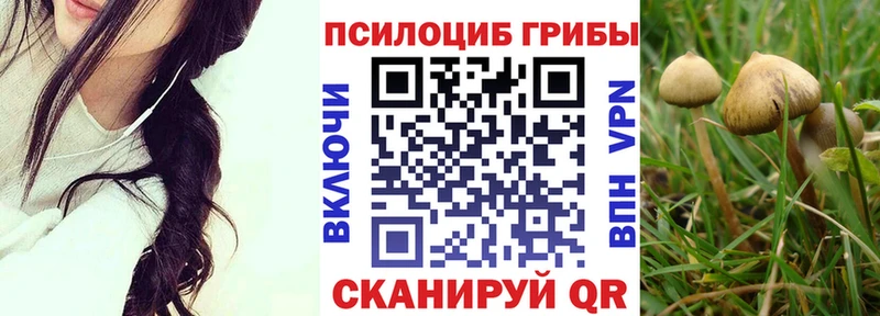Псилоцибиновые грибы Psilocybine cubensis  Мелеуз 