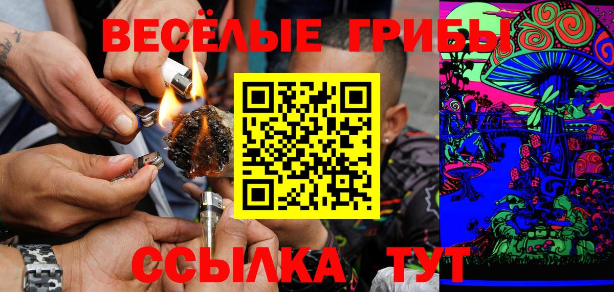 Галлюциногенные грибы GOLDEN TEACHER  как найти закладки  Галлюциногенные грибы MAGIC MUSHROOMS  Мелеуз 
