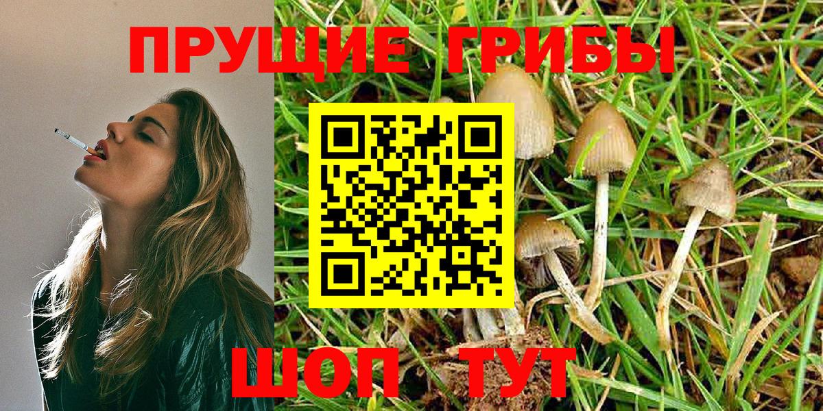 Псилоцибиновые грибы Psilocybine cubensis  Вход с VPN  Псилоцибиновые грибы Psilocybe  Мелеуз 